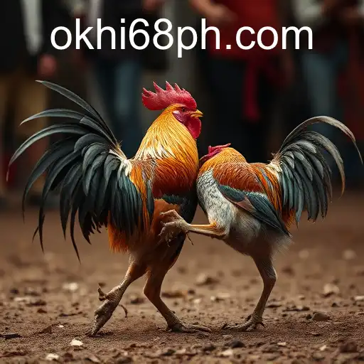 Understanding the Complex World of Cockfighting: An In-Depth Examination